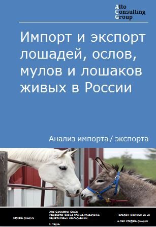 Импорт и экспорт лошадей, ослов, мулов и лошаков живых в России в 2023 г.