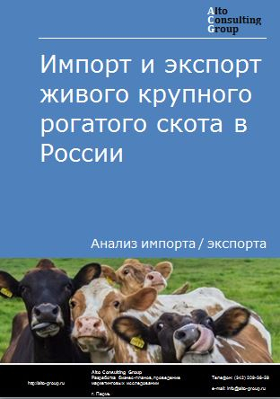 Импорт и экспорт живого крупного рогатого скота в России в 2023 г.