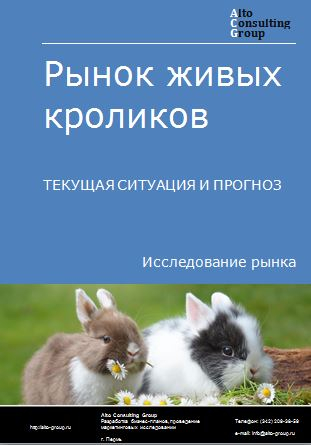 Рынок живых кроликов в России. Текущая ситуация и прогноз 2022-2026 гг.
