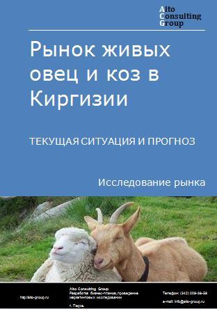 Рынок живых овец и коз в Киргизии. Текущая ситуация и прогноз 2024-2028 гг.