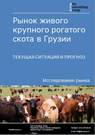 Рынок живого крупного рогатого скота в Грузии. Текущая ситуация и прогноз 2022-2026 гг.