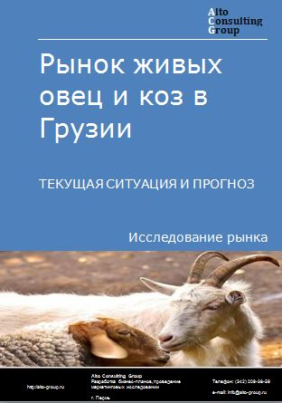 Рынок живых овец и коз в Грузии. Текущая ситуация и прогноз 2023-2027 гг.