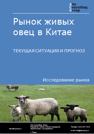 Рынок живых овец в Китае. Текущая ситуация и прогноз 2024-2028 гг.