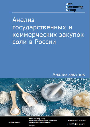 Анализ государственных и коммерческих закупок соли в России в 2023 г.