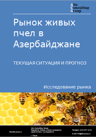 Рынок живых пчел в Азербайджане. Текущая ситуация и прогноз 2024-2028 гг.