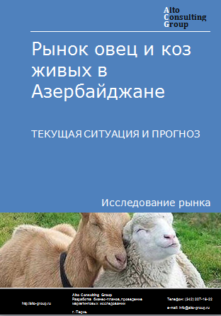 Рынок овец и коз живых в Азербайджане. Текущая ситуация и прогноз 2024-2028 гг.