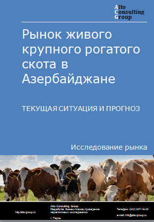 Рынок живого крупного рогатого скота в Азербайджане. Текущая ситуация и прогноз 2023-2027 гг.