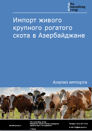 Импорт живого крупного рогатого скота в Азербайджане в 2019-2023 гг.