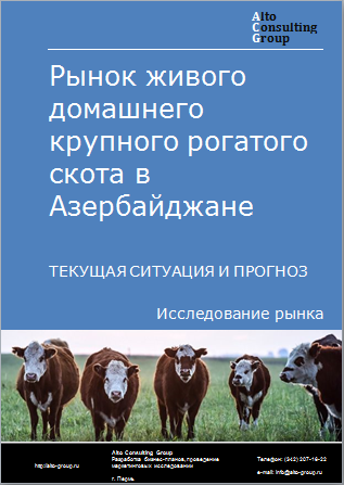 Рынок домашнего крупного рогатого скота в Азербайджане. Текущая ситуация и прогноз 2024-2028 гг.