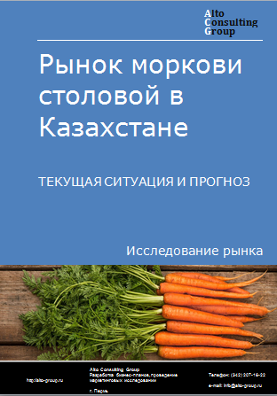 Рынок моркови столовой в Казахстане. Текущая ситуация и прогноз 2024-2028 гг.
