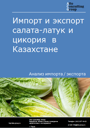 Импорт и экспорт салата-латук и цикория в Казахстане в 2019-2023 гг.