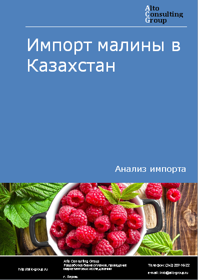 Импорт малины в Казахстан в 2019-2023 гг.