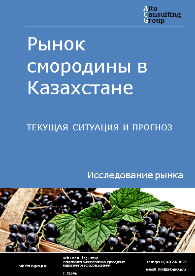 Рынок смородины в Казахстане. Текущая ситуация и прогноз 2024-2028 гг.