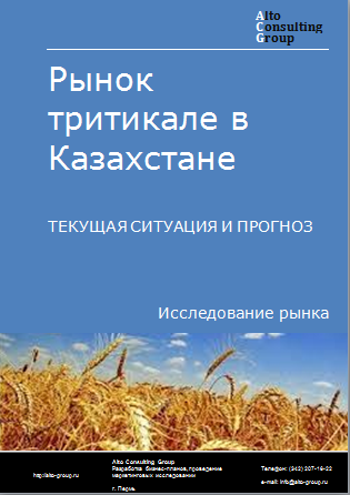 Рынок тритикале в Казахстане. Текущая ситуация и прогноз 2024-2028 гг.
