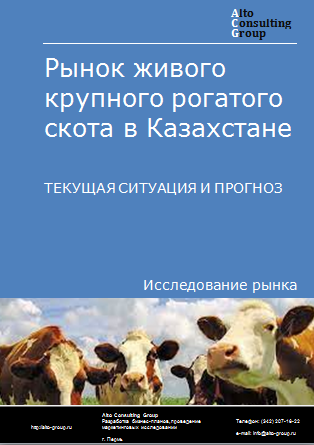 Рынок живого крупного рогатого скота в Казахстане. Текущая ситуация и прогноз 2024-2028 гг.