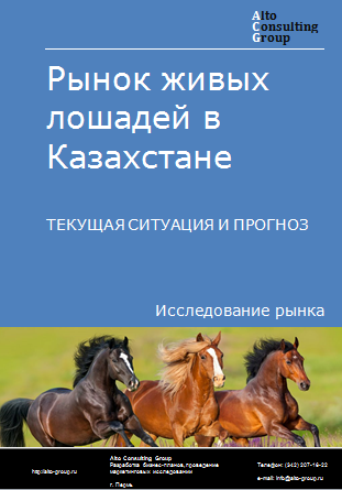 Рынок живых лошадей в Казахстане. Текущая ситуация и прогноз 2024-2028 гг.