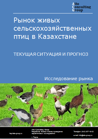 Рынок живых сельскохозяйственных птиц в Казахстане. Текущая ситуация и прогноз 2024-2028 гг.