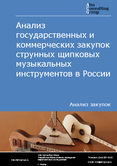 Анализ государственных и коммерческих закупок струнных щипковых музыкальных инструментов в России в 2023 г.