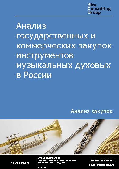 Анализ государственных и коммерческих закупок инструментов музыкальных духовых в России в 2023 г.