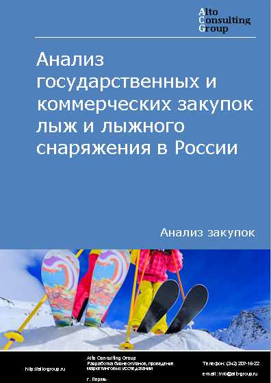 Анализ государственных и коммерческих закупок лыж и лыжного снаряжения в России в 2023 г.