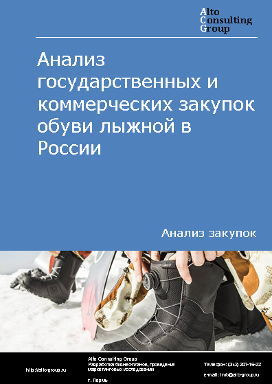 Анализ государственных и коммерческих закупок обуви лыжной в России в 2023 г.