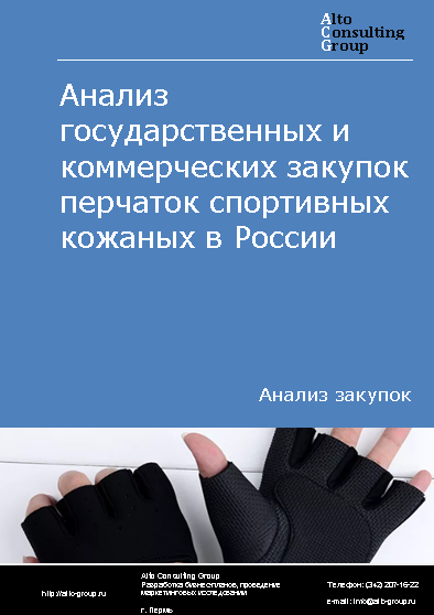 Анализ государственных и коммерческих закупок перчаток спортивных кожаных в России в 2023 г.