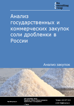 Анализ государственных и коммерческих закупок соли дробленки в России в 2023 г.