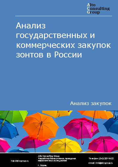 Анализ государственных и коммерческих закупок зонтов в России в 2023 г.