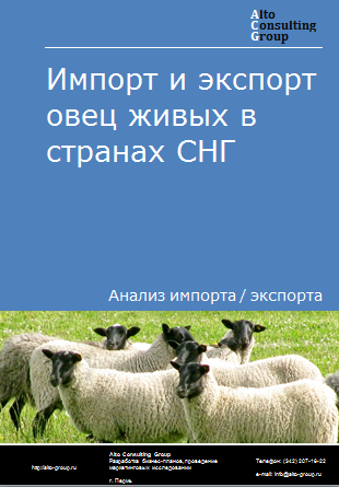 Импорт и экспорт овец живых в странах СНГ в 2019-2023 гг.