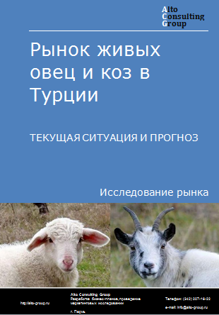 Рынок живых овец и коз в Турции. Текущая ситуация и прогноз 2024-2028 гг.