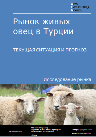 Рынок живых овец в Турции. Текущая ситуация и прогноз 2024-2028 гг.