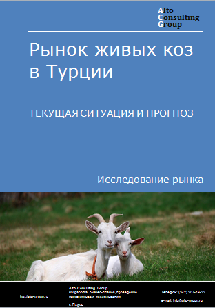 Рынок живых коз в Турции. Текущая ситуация и прогноз 2024-2028 гг.