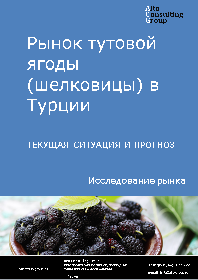 Рынок тутовой ягоды (шелковицы) в Турции. Текущая ситуация и прогноз 2024-2028 гг.