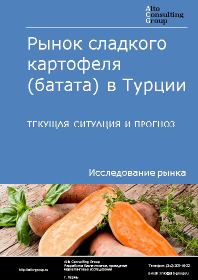 Рынок сладкого картофеля (батата) в Турции. Текущая ситуация и прогноз 2024-2028 гг.
