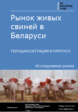 Рынок живых свиней в Беларуси. Текущая ситуация и прогноз 2024-2028 гг.
