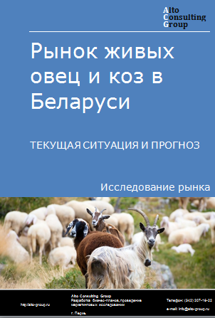 Рынок живых овец и коз в Беларуси. Текущая ситуация и прогноз 2024-2028 гг.