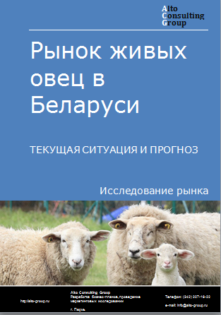 Рынок живых овец  в Беларуси. Текущая ситуация и прогноз 2024-2028 гг.