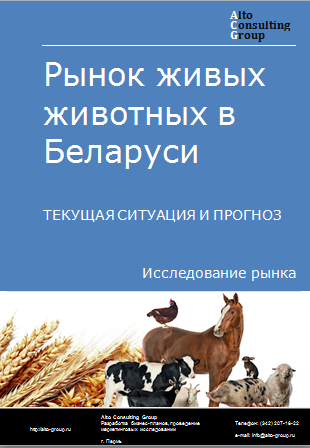 Рынок живых животных в Беларуси. Текущая ситуация и прогноз 2024-2028 гг.