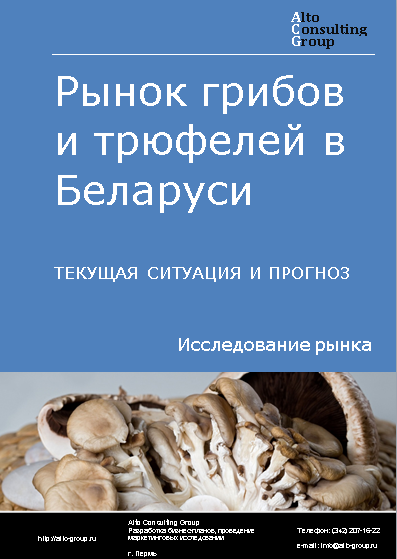 Рынок грибов и трюфелей в Беларуси. Текущая ситуация и прогноз 2024-2028 гг.