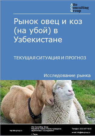 Рынок овец и коз (на убой) в Узбекистане. Текущая ситуация и прогноз 2023-2027 гг.