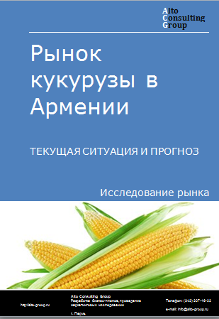 Рынок кукурузы в Армении. Текущая ситуация и прогноз 2024-2028 гг.