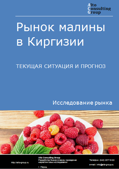 Рынок малины в Киргизии. Текущая ситуация и прогноз 2024-2028 гг.