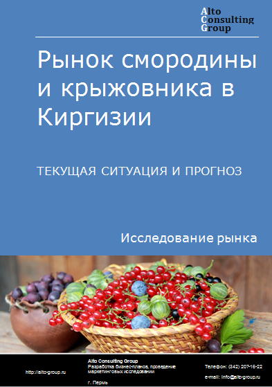 Рынок смородины и крыжовника в Киргизии. Текущая ситуация и прогноз 2024-2028 гг.